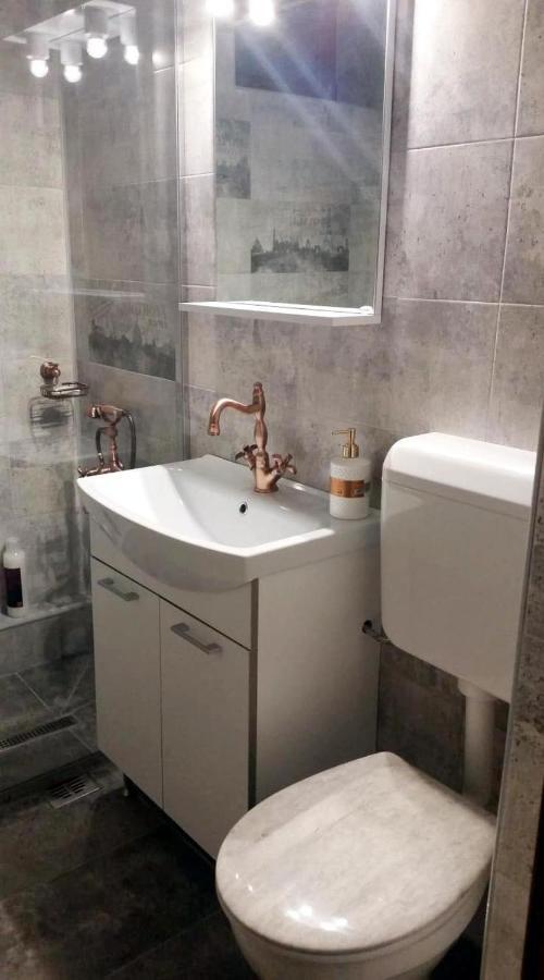 Apartament Medieval 普雷代亚尔 外观 照片