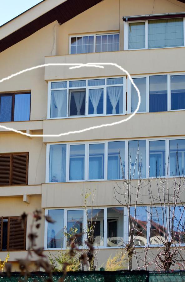 Apartament Medieval 普雷代亚尔 外观 照片
